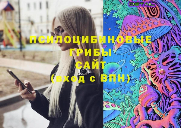 дурь Пролетарск
