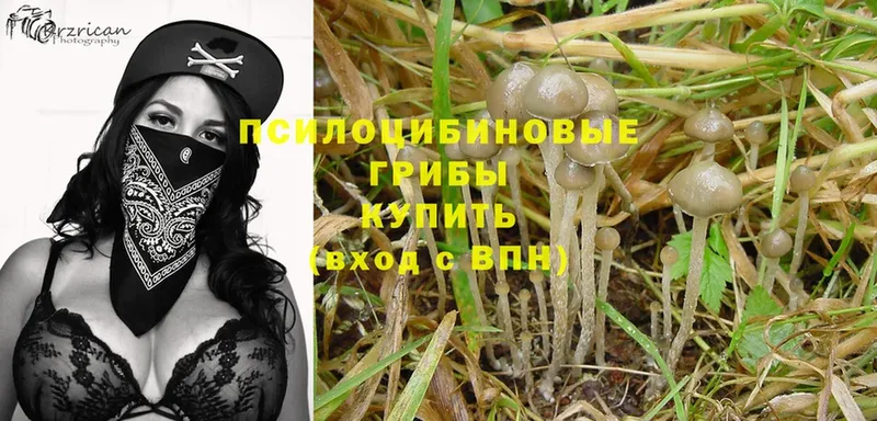 Галлюциногенные грибы Magic Shrooms  blacksprut ссылка  Армянск 